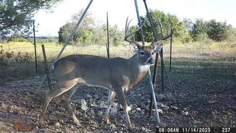 Ranch Land with Water and Pens