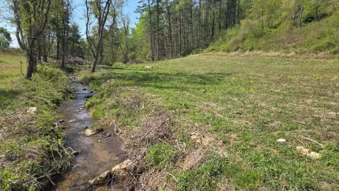 Unrestricted Land with Creek Access