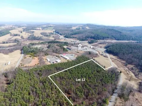 Wooded Lot Near Blue Ridge