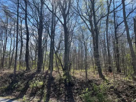 Level Building Lot in Springville