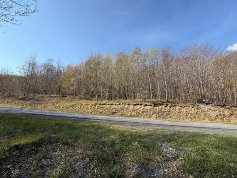 Whitetop Mountain Building Site