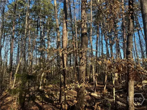 Wooded Land Near Lake Hartwell