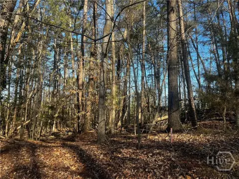 Wooded Land Near Lake Hartwell
