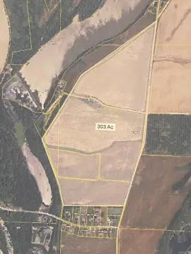 303 Acres on Colonel Maynard