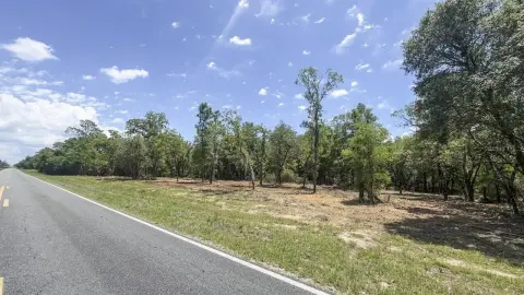 Wooded Rural Residential Acreage