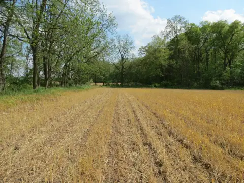 Agricultural Land with Hunting Potential