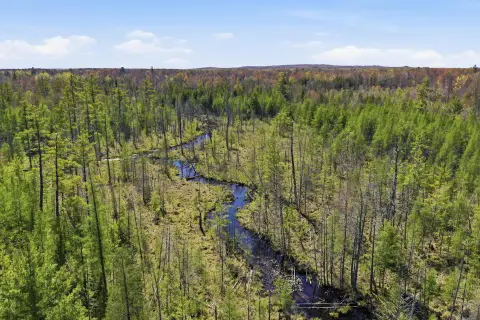Hunting and Recreation Land