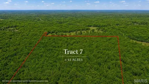 Agricultural Timber Hunting Tract