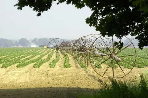 Agricultural Land with Building Parcel Adjacent