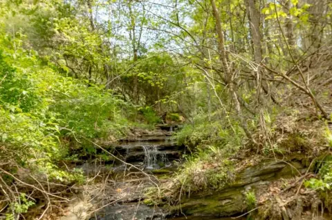 Mountain Land with Creek and Views
