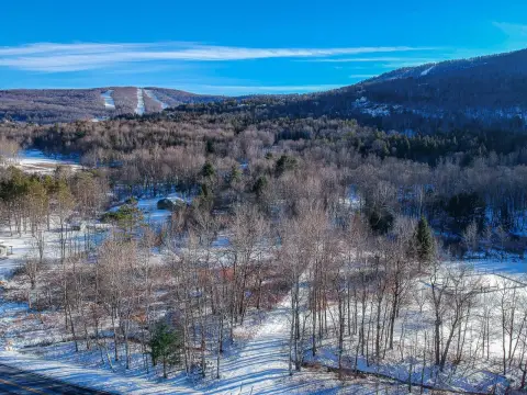 Windham Vacant Land Opportunity