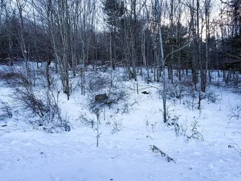 Vacant Recreational Land Parcel
