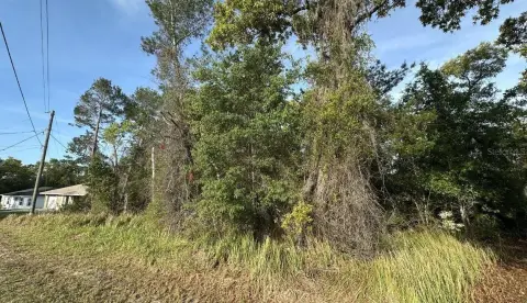 Oversized Lot in Silver Spring Shores