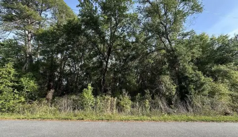 Residential Land in Ocala, FL