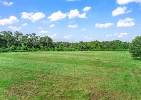 Agricultural Land with Pasture