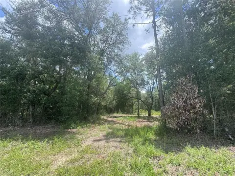 Residential Building Lot with Acreage