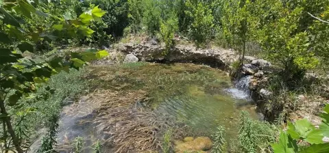 Recreation Land with Pond and Creek