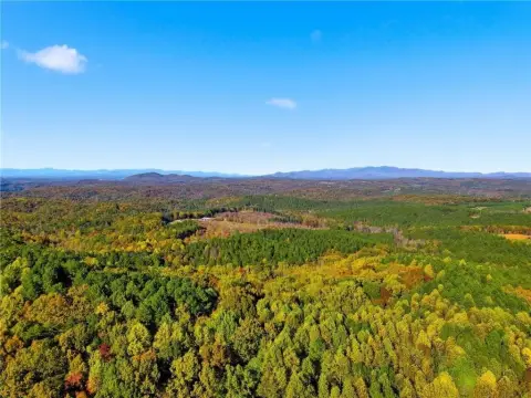 90+ Acre Mountain Estate Land