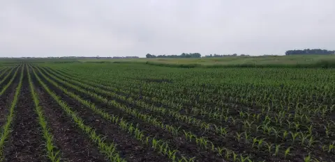 Prime Farmland Investment Opportunity