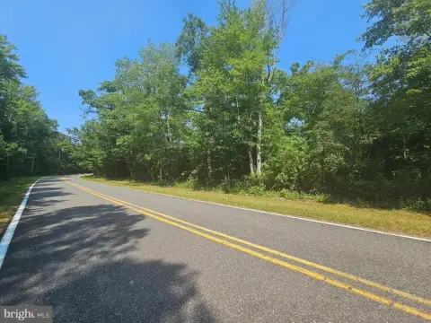 Wooded Hunting and Recreation Land