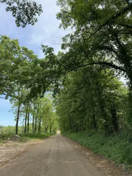 Buildable Hunting Land Tract