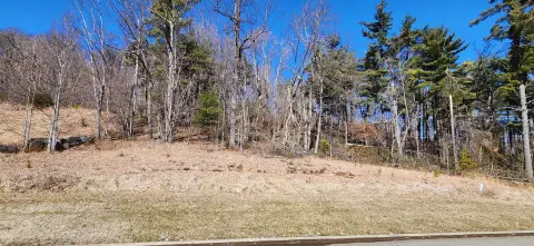 Residential Land in Rocky Mount, VA