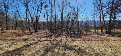 Residential Land in Rocky Mount, VA