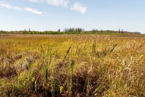 Minnesota Recreational Land Near Soo Trail