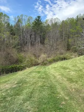 Wooded Land Near Galax, VA