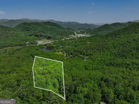4 Acres Mountain View Homesite