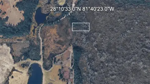 Undeveloped Acreage in Haines City