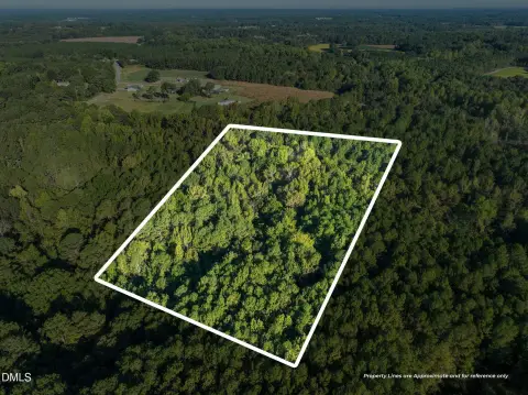 Wooded Land Tract