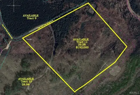 Unrestricted 29-Acre Parcel in Brookwood