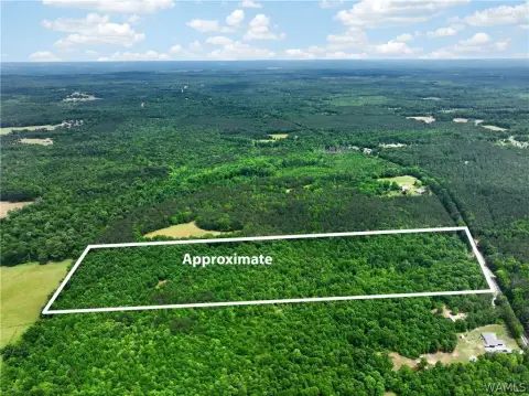 36.58 Acres in Ralph, AL