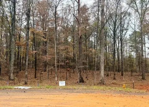 Residential Land in Waverly Hall
