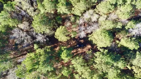 Wooded 14-Acre Tract For Sale