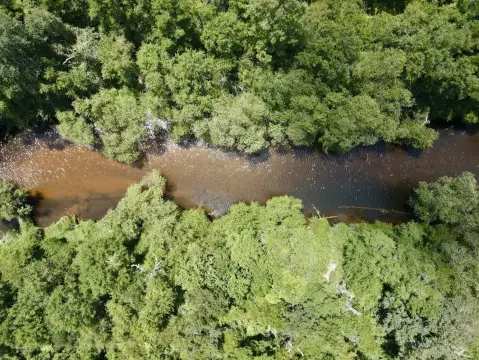 Waterfront Land with River Access