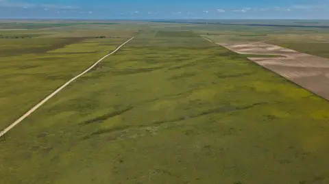 Native Grass Hunting Land