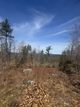 Wolfeboro Land Ready for Building