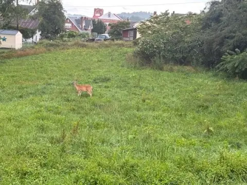 Residential Lot in Galax, VA