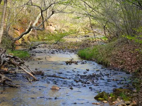 Franklin County Land with Creek