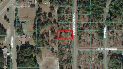 Cleared Residential Lot in R1