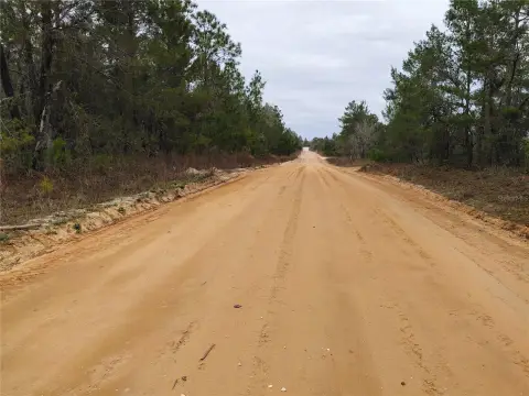 Wooded Land Parcel For Sale