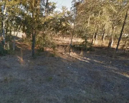 Residential Home Lot Opportunity