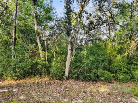 Vacant Residential Land Zoned R1