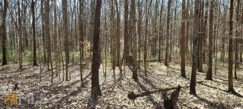 Zoned Agricultural Land Tract