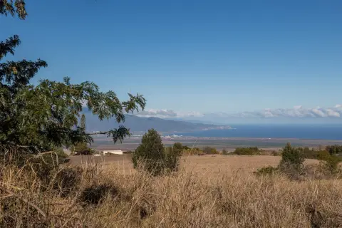 Agricultural Land with Ocean Views