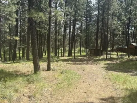 Partially Fenced Riverfront Land