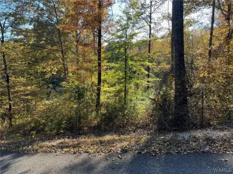McCalla, AL .45-Acre Lot