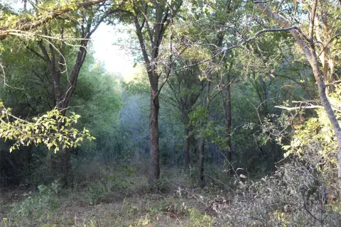 Treed Hunting Land with Rock Outcroppings